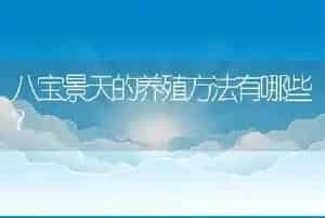 八宝景天的养殖方法有哪些?