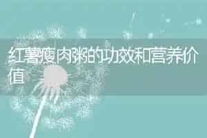 红薯瘦肉粥的功效和营养价值