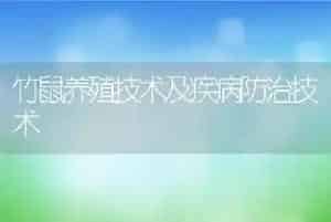 竹鼠养殖技术及疾病防治技术