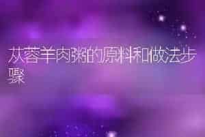 苁蓉羊肉粥的原料和做法步骤