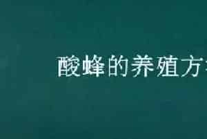 酸蜂的养殖方法