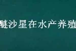 硫醚沙星在水产养殖中的应用