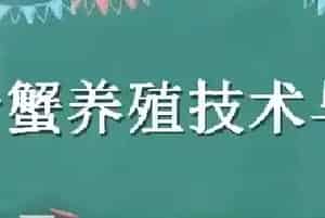 青蟹养殖技术与管理
