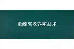 蚯蚓高效养殖技术