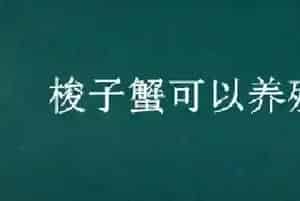 梭子蟹可以养殖吗