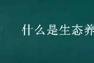 什么是生态养殖