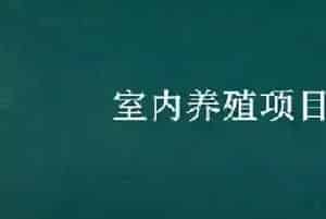 室内养殖项目