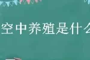 空中养殖是什么意思