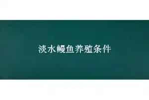 淡水鳗鱼养殖条件