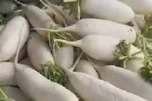 海南蔬菜品种大全图片,海南岛主要产什么蔬菜?