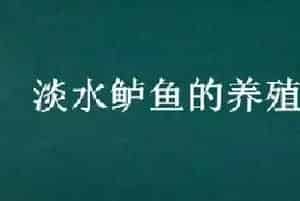 淡水鲈鱼的养殖方法