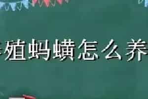 养殖蚂蟥怎么养殖技术