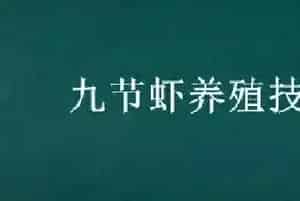 九节虾养殖技术