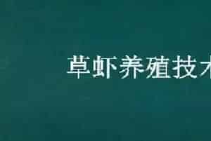 草虾养殖技术