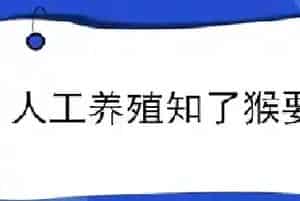 人工养殖知了猴要多久