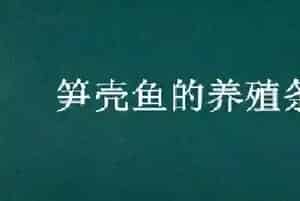 笋壳鱼的养殖条件