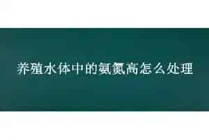 养殖水体中的氨氮高怎么处理