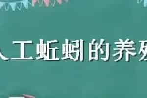 人工蚯蚓的养殖技术
