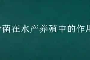 光合菌在水产养殖中的作用和使用时间