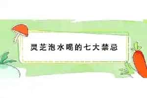 灵芝泡水喝的七大禁忌