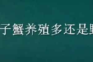 梭子蟹养殖多还是野生多