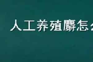 人工养殖麝怎么养
