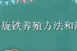 螺旋铁养殖方法和注意事项
