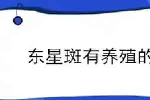 东星斑有养殖的吗