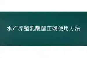 水产养殖乳酸菌正确使用方法