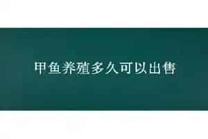 甲鱼养殖多久可以出售