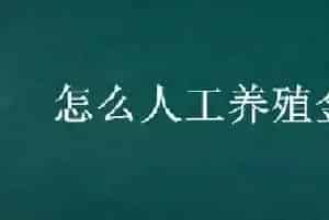 怎么人工养殖金蝉
