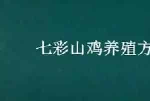 七彩山鸡养殖方法