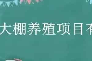 大棚养殖项目有哪些