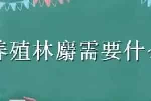 养殖林麝需要什么条件