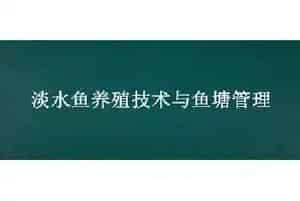 淡水鱼养殖技术与鱼塘管理