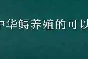中华鲟养殖的可以吃吗