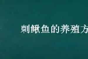 刺鳅鱼的养殖方法