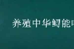养殖中华鲟能吃吗