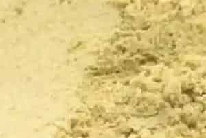 菊花粉怎么吃效果最好