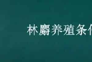 林麝养殖条件