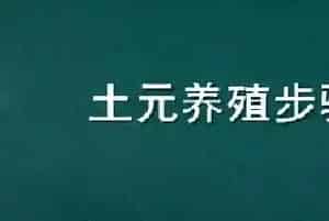 土元养殖步骤