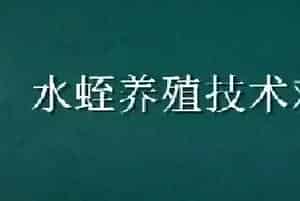 水蛭养殖技术难点