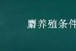 麝养殖条件