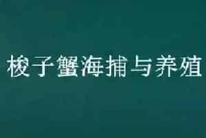 梭子蟹海捕与养殖的区别