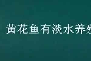 黄花鱼有淡水养殖的吗