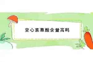 空心菜草酸含量高吗