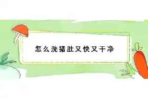 怎么洗猪肚又快又干净