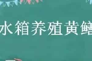 水箱养殖黄鳝技术