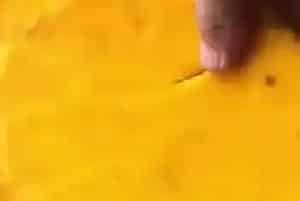 蜂蜡怎么熬制
