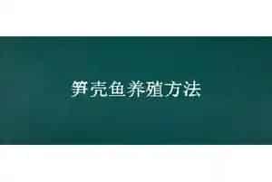 笋壳鱼养殖方法
